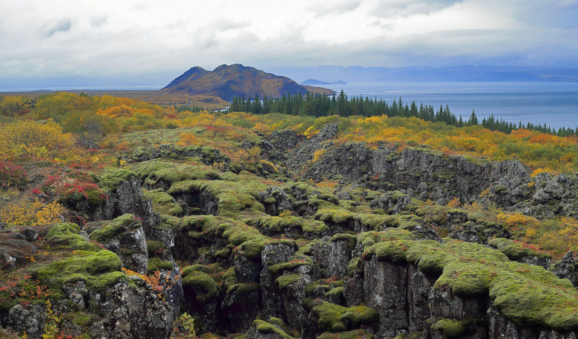 Autumn colours in Thingvellir National Park