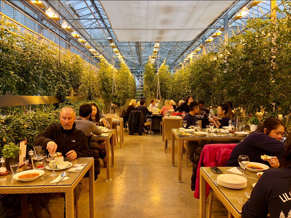 Guests enjoying tomato soup at Friðheimar Greenhouses