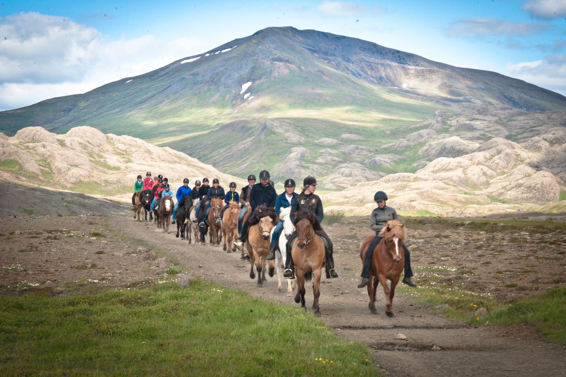 A group of riders on Icelandic horses in the highlands