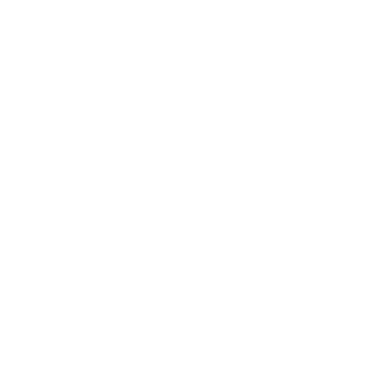 Dr Emmanuel Elorm Nortey-Adom