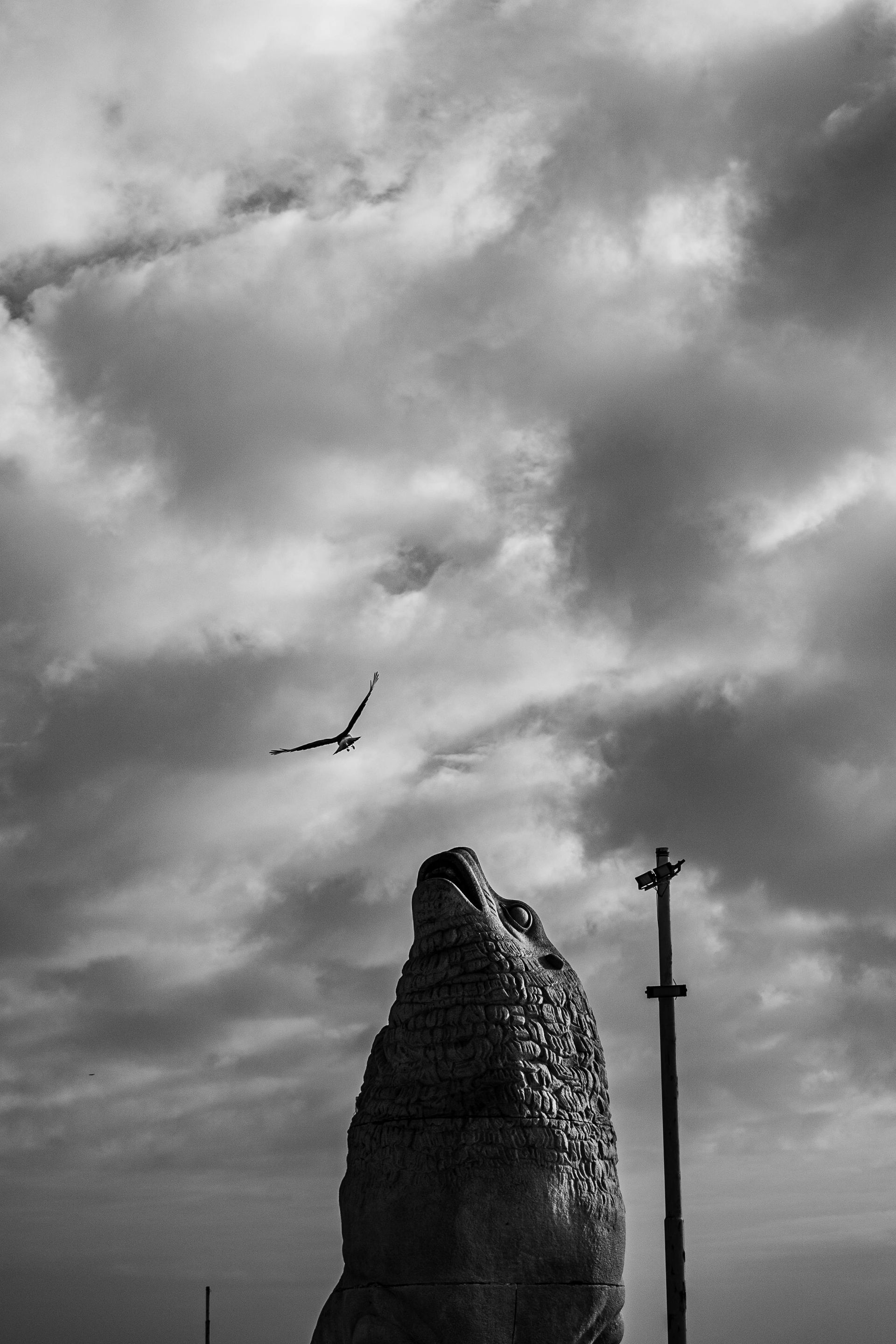 Sculpted wolf looking up, bird flying across cloudy sky.