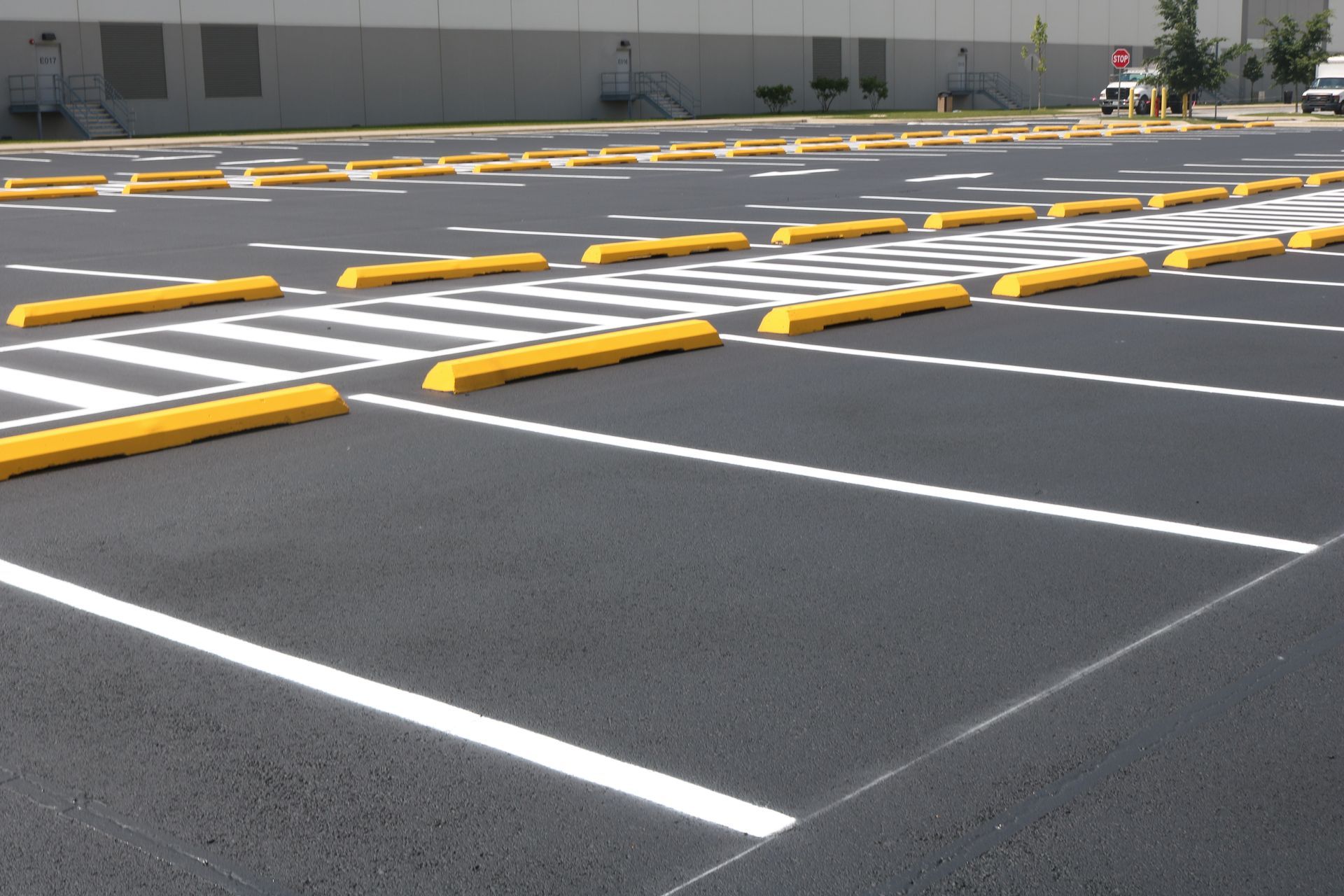 A parking lot with yellow curbs and white lines.