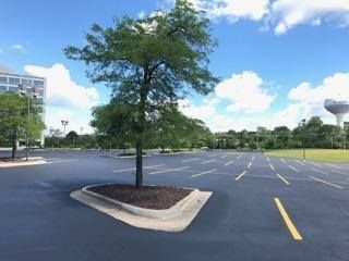 Parking Area Striping | Elgin, IL | RG Asphalt & Concrete LLC