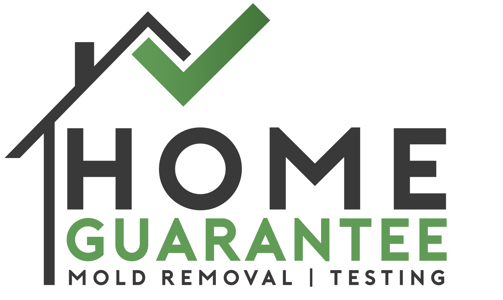 What Does Mold Smell Like? Here’s How You Tell