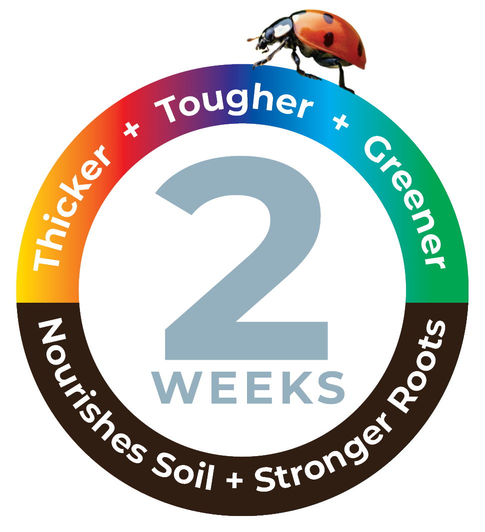 Groei - Thicker, Tougher & Greener Grass in 2 weeks