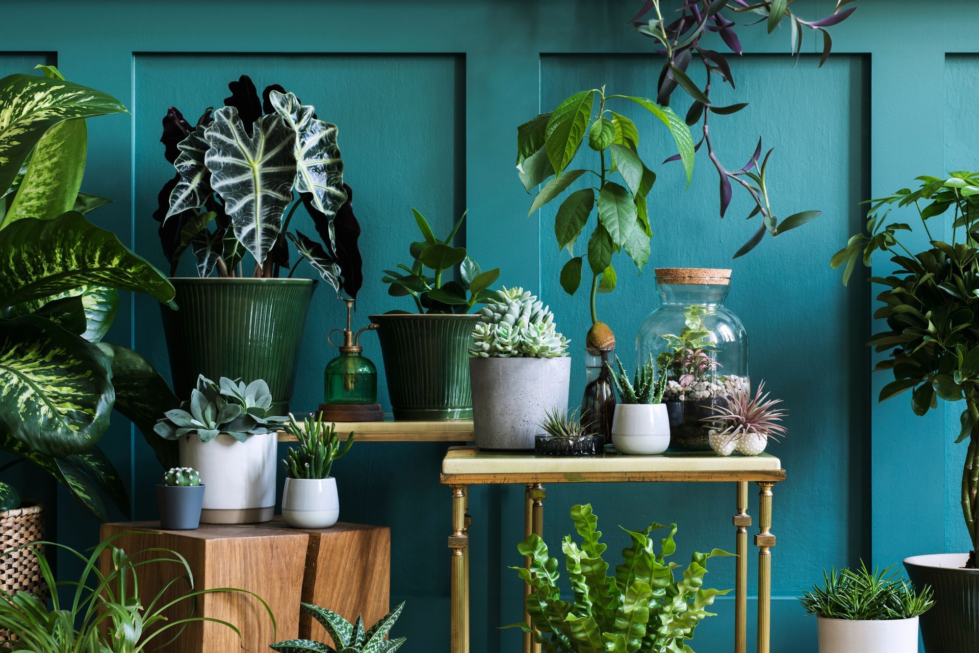 Groei Fertilizer and Stimulants Indoor Plants