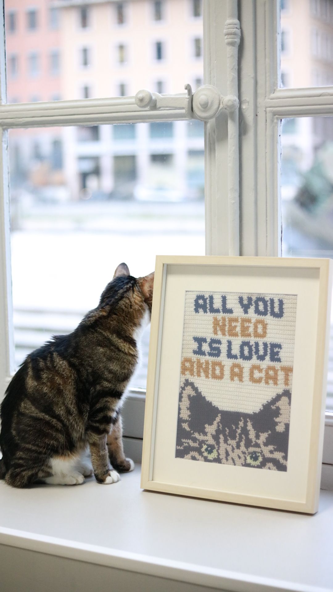 clinique vétérinaire féline, vétérinaire pour chats, vétérinaire spécialiste du chat, médecine féline, clinique féline Lyon, vétérinaire chats Lyon, soins pour chats, clinique Cat Friendly Lyon, hôpital pour chats, bien-être félin, spécialiste chat Rhône, Entrechats Lyon, consultation vétérinaire chat, vétérinaire chat Lyon, mon chat et moi Lyon, mon chat et moi Rhône, vaccination chat Lyon, médecine féline, soins chat, vétérinaire félin Rhône, check-up chat, prévention santé chat, vétérinaire comportement chat, chat stressé vétérinaire, chat agressif vétérinaire, comportement félin, clinique Cat Friendly Lyon, bien-être félin, soins doux chat, apaiser chat, hospitalisation chat, chirurgie féline, anesthésie chat, soins post-opératoires chat, hôpital vétérinaire Rhône, clinique féline Lyon, surveillance vétérinaire chat, chirurgie douce chat, nutrition féline, alimentation chat, prévention maladies chat, conseils vétérinaires chat, suivi de poids chat, santé féline Lyon, vétérinaire nutrition chat,clinique Cat Friendly Lyon, équipe vétérinaire chats, vétérinaire félin Lyon, médecine du chat, bien-être félin, soins respectueux, spécialiste chat Lyon, conseils vétérinaires chat, blog chat, santé du chat, comportement félin, soins chat Lyon, prévention chat,