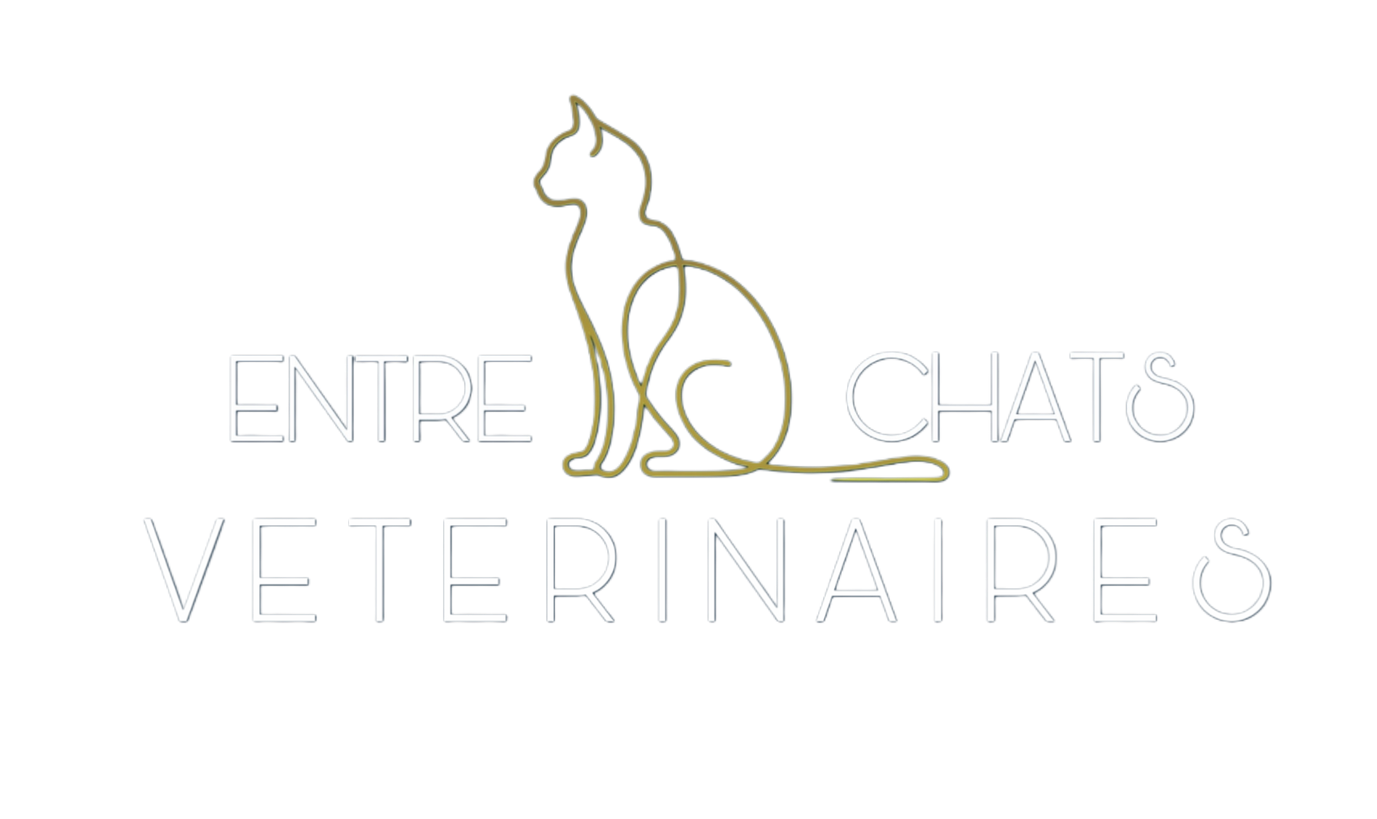 clinique vétérinaire féline, vétérinaire pour chats, vétérinaire spécialiste du chat, médecine féline, clinique féline Lyon, vétérinaire chats Lyon, soins pour chats, clinique Cat Friendly Lyon, hôpital pour chats, bien-être félin, spécialiste chat Rhône, Entrechats Lyon, consultation vétérinaire chat, vétérinaire chat Lyon, mon chat et moi Lyon, mon chat et moi Rhône, vaccination chat Lyon, médecine féline, soins chat, vétérinaire félin Rhône, check-up chat, prévention santé chat, vétérinaire comportement chat, chat stressé vétérinaire, chat agressif vétérinaire, comportement félin, clinique Cat Friendly Lyon, bien-être félin, soins doux chat, apaiser chat, hospitalisation chat, chirurgie féline, anesthésie chat, soins post-opératoires chat, hôpital vétérinaire Rhône, clinique féline Lyon, surveillance vétérinaire chat, chirurgie douce chat, nutrition féline, alimentation chat, prévention maladies chat, conseils vétérinaires chat, suivi de poids chat, santé féline Lyon, vétérinaire nutrition chat,clinique Cat Friendly Lyon, équipe vétérinaire chats, vétérinaire félin Lyon, médecine du chat, bien-être félin, soins respectueux, spécialiste chat Lyon, conseils vétérinaires chat, blog chat, santé du chat, comportement félin, soins chat Lyon, prévention chat,