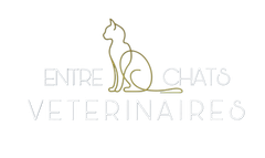 clinique vétérinaire féline, vétérinaire pour chats, vétérinaire spécialiste du chat, médecine féline, clinique féline Lyon, vétérinaire chats Lyon, soins pour chats, clinique Cat Friendly Lyon, hôpital pour chats, bien-être félin, spécialiste chat Rhône, Entrechats Lyon, consultation vétérinaire chat, vétérinaire chat Lyon, mon chat et moi Lyon, mon chat et moi Rhône, vaccination chat Lyon, médecine féline, soins chat, vétérinaire félin Rhône, check-up chat, prévention santé chat, vétérinaire comportement chat, chat stressé vétérinaire, chat agressif vétérinaire, comportement félin, clinique Cat Friendly Lyon, bien-être félin, soins doux chat, apaiser chat, hospitalisation chat, chirurgie féline, anesthésie chat, soins post-opératoires chat, hôpital vétérinaire Rhône, clinique féline Lyon, surveillance vétérinaire chat, chirurgie douce chat, nutrition féline, alimentation chat, prévention maladies chat, conseils vétérinaires chat, suivi de poids chat, santé féline Lyon, vétérinaire nutrition chat,clinique Cat Friendly Lyon, équipe vétérinaire chats, vétérinaire félin Lyon, médecine du chat, bien-être félin, soins respectueux, spécialiste chat Lyon, conseils vétérinaires chat, blog chat, santé du chat, comportement félin, soins chat Lyon, prévention chat,