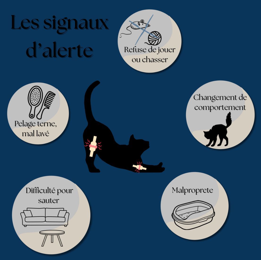 arthrose chat, mon chat a de l'arthrose, soigner arthrose chat , comment savoir si mon chat a de l'arthrose, clinique vétérinaire féline, vétérinaire pour chats, vétérinaire spécialiste du chat, médecine féline, clinique féline Lyon, vétérinaire chats Lyon, soins pour chats, clinique Cat Friendly Lyon, hôpital pour chats, bien-être félin, spécialiste chat Rhône, Entrechats Lyon, consultation vétérinaire chat, vétérinaire chat Lyon, mon chat et moi Lyon, mon chat et moi Rhône, vaccination chat Lyon, médecine féline, soins chat, vétérinaire félin Rhône, check-up chat, prévention santé chat, vétérinaire comportement chat, chat stressé vétérinaire, chat agressif vétérinaire, comportement félin, clinique Cat Friendly Lyon, bien-être félin, soins doux chat, apaiser chat, hospitalisation chat, chirurgie féline, anesthésie chat, soins post-opératoires chat, hôpital vétérinaire Rhône, clinique féline Lyon, surveillance vétérinaire chat, chirurgie douce chat, nutrition féline, alimentation chat, prévention maladies chat, conseils vétérinaires chat, suivi de poids chat, santé féline Lyon, vétérinaire nutrition chat,clinique Cat Friendly Lyon, équipe vétérinaire chats, vétérinaire félin Lyon, médecine du chat, bien-être félin, soins respectueux, spécialiste chat Lyon, conseils vétérinaires chat, blog chat, santé du chat, comportement félin, soins chat Lyon, prévention chat,