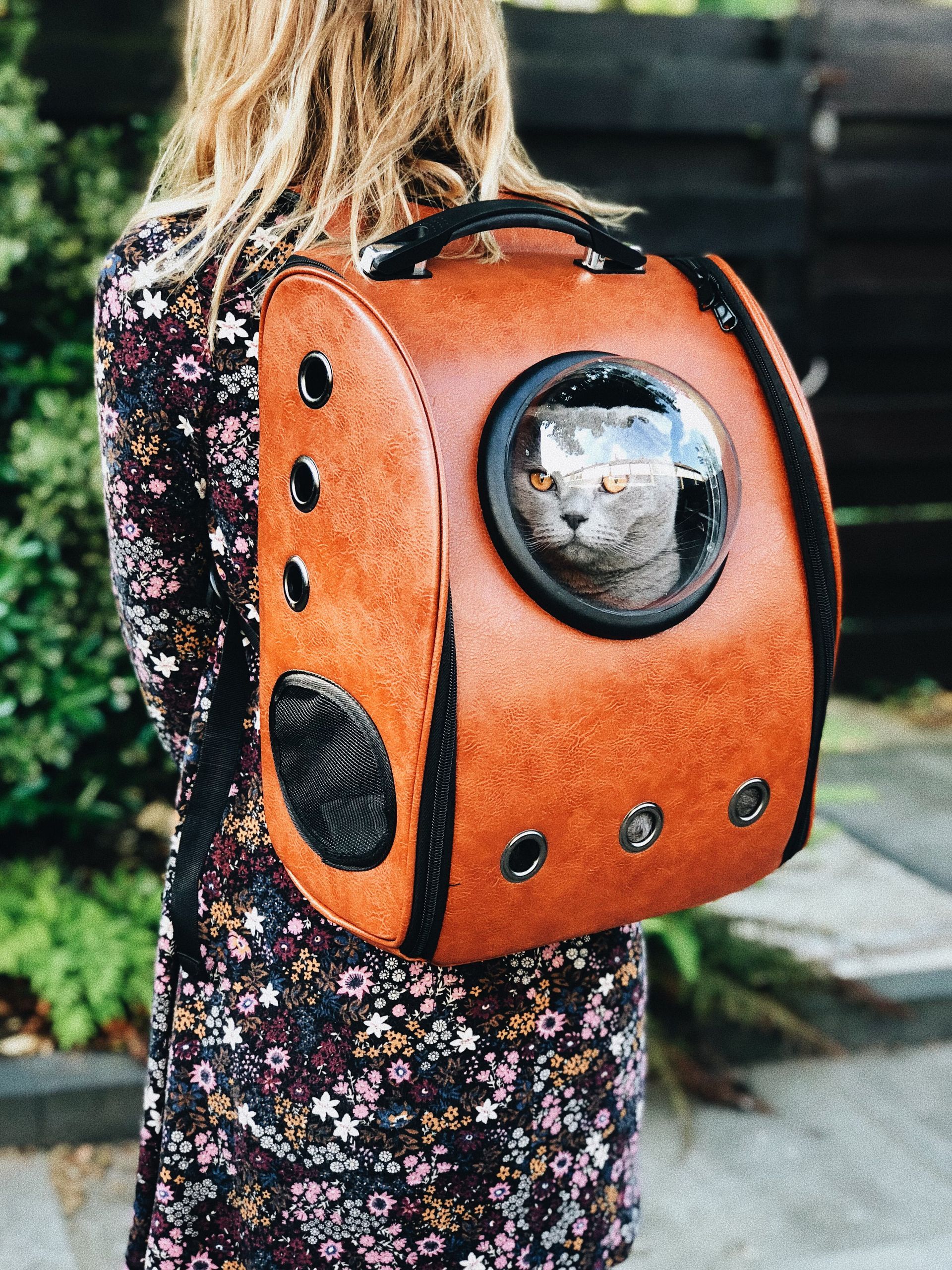 clinique vétérinaire féline, vétérinaire pour chats, vétérinaire spécialiste du chat, médecine féline, clinique féline Lyon, vétérinaire chats Lyon, soins pour chats, clinique Cat Friendly Lyon, hôpital pour chats, bien-être félin, spécialiste chat Rhône, Entrechats Lyon, consultation vétérinaire chat, vétérinaire chat Lyon, mon chat et moi Lyon, mon chat et moi Rhône, vaccination chat Lyon, médecine féline, soins chat, vétérinaire félin Rhône, check-up chat, prévention santé chat, vétérinaire comportement chat, chat stressé vétérinaire, chat agressif vétérinaire, comportement félin, clinique Cat Friendly Lyon, bien-être félin, soins doux chat, apaiser chat, hospitalisation chat, chirurgie féline, anesthésie chat, soins post-opératoires chat, hôpital vétérinaire Rhône, clinique féline Lyon, surveillance vétérinaire chat, chirurgie douce chat, nutrition féline, alimentation chat, prévention maladies chat, conseils vétérinaires chat, suivi de poids chat, santé féline Lyon, vétérinaire nutrition chat,clinique Cat Friendly Lyon, équipe vétérinaire chats, vétérinaire félin Lyon, médecine du chat, bien-être félin, soins respectueux, spécialiste chat Lyon, conseils vétérinaires chat, blog chat, santé du chat, comportement félin, soins chat Lyon, prévention chat,