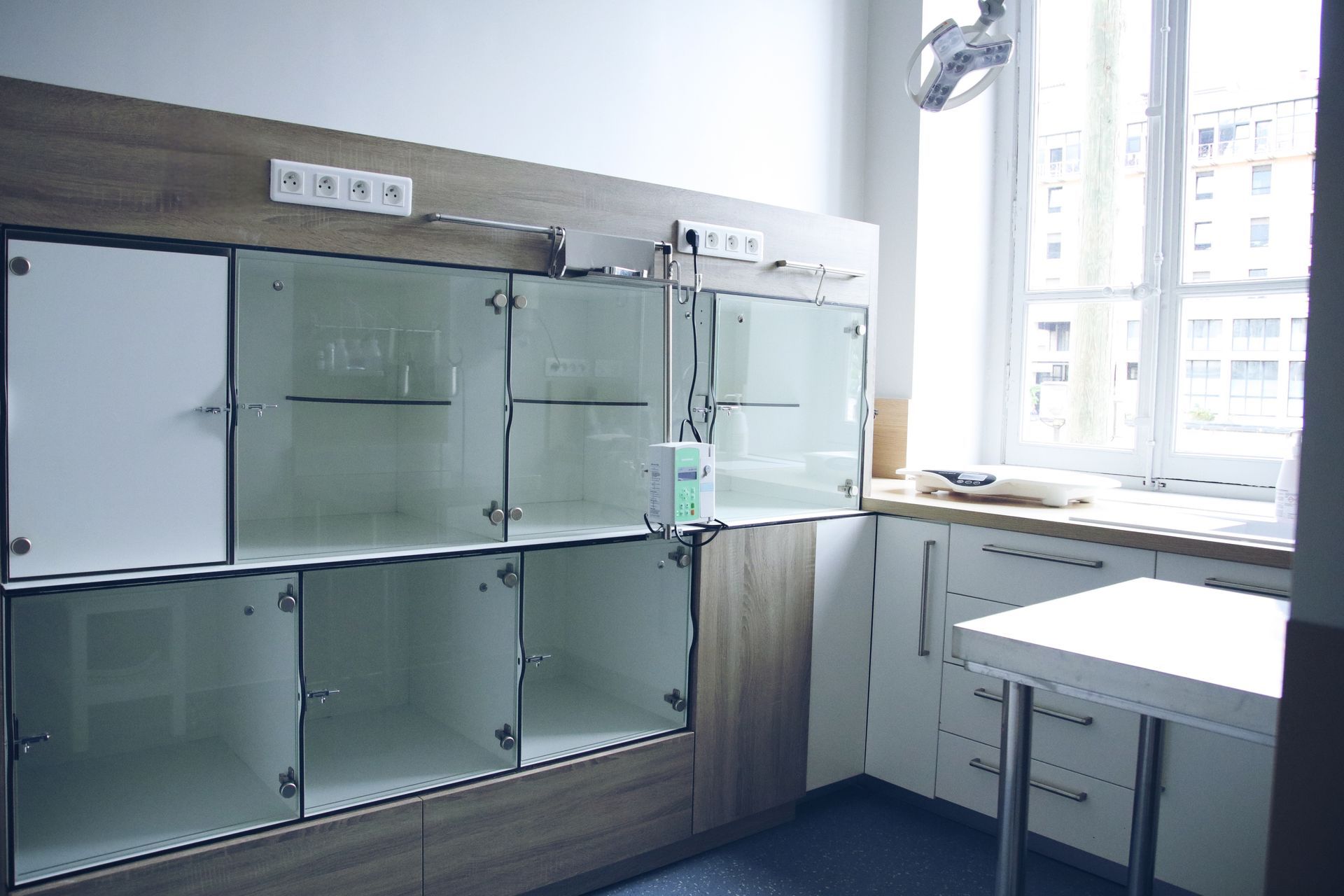 clinique vétérinaire féline, vétérinaire pour chats, vétérinaire spécialiste du chat, médecine féline, clinique féline Lyon, vétérinaire chats Lyon, soins pour chats, clinique Cat Friendly Lyon, hôpital pour chats, bien-être félin, spécialiste chat Rhône, Entrechats Lyon, consultation vétérinaire chat, vétérinaire chat Lyon, mon chat et moi Lyon, mon chat et moi Rhône, vaccination chat Lyon, médecine féline, soins chat, vétérinaire félin Rhône, check-up chat, prévention santé chat, vétérinaire comportement chat, chat stressé vétérinaire, chat agressif vétérinaire, comportement félin, clinique Cat Friendly Lyon, bien-être félin, soins doux chat, apaiser chat, hospitalisation chat, chirurgie féline, anesthésie chat, soins post-opératoires chat, hôpital vétérinaire Rhône, clinique féline Lyon, surveillance vétérinaire chat, chirurgie douce chat, nutrition féline, alimentation chat, prévention maladies chat, conseils vétérinaires chat, suivi de poids chat, santé féline Lyon, vétérinaire nutrition chat,clinique Cat Friendly Lyon, équipe vétérinaire chats, vétérinaire félin Lyon, médecine du chat, bien-être félin, soins respectueux, spécialiste chat Lyon, conseils vétérinaires chat, blog chat, santé du chat, comportement félin, soins chat Lyon, prévention chat,