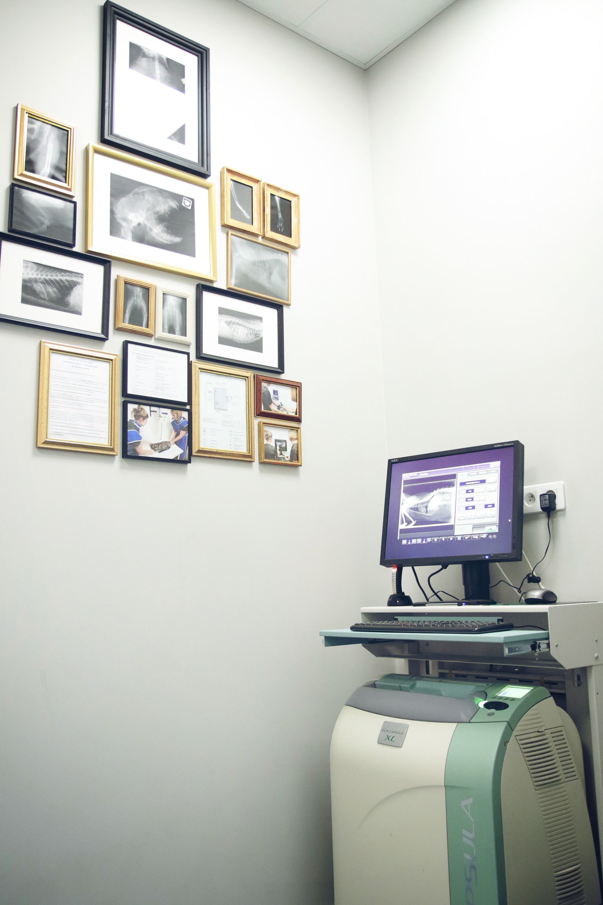 clinique vétérinaire féline, vétérinaire pour chats, vétérinaire spécialiste du chat, médecine féline, clinique féline Lyon, vétérinaire chats Lyon, soins pour chats, clinique Cat Friendly Lyon, hôpital pour chats, bien-être félin, spécialiste chat Rhône, Entrechats Lyon, consultation vétérinaire chat, vétérinaire chat Lyon, mon chat et moi Lyon, mon chat et moi Rhône, vaccination chat Lyon, médecine féline, soins chat, vétérinaire félin Rhône, check-up chat, prévention santé chat, vétérinaire comportement chat, chat stressé vétérinaire, chat agressif vétérinaire, comportement félin, clinique Cat Friendly Lyon, bien-être félin, soins doux chat, apaiser chat, hospitalisation chat, chirurgie féline, anesthésie chat, soins post-opératoires chat, hôpital vétérinaire Rhône, clinique féline Lyon, surveillance vétérinaire chat, chirurgie douce chat, nutrition féline, alimentation chat, prévention maladies chat, conseils vétérinaires chat, suivi de poids chat, santé féline Lyon, vétérinaire nutrition chat,clinique Cat Friendly Lyon, équipe vétérinaire chats, vétérinaire félin Lyon, médecine du chat, bien-être félin, soins respectueux, spécialiste chat Lyon, conseils vétérinaires chat, blog chat, santé du chat, comportement félin, soins chat Lyon, prévention chat,