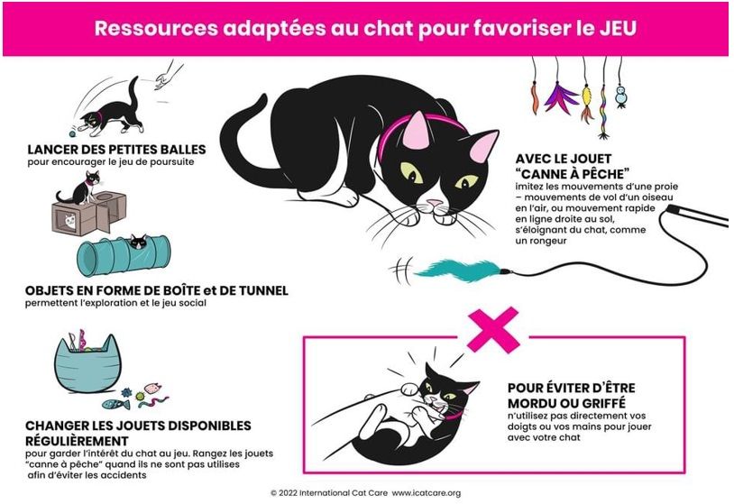 mon chat est malpropre, mon chat fait a cote de sa lititere, mon chat pisse partout, mon chat ne va pas dans la litière, mon chat fait du marquage urinaire, mon chat est pas propre, comment faire pour que mon chat fasse pipi dans la litière, mon chat urine sur les canapés, mon chat urine sur les lits, Entrechats Lyon, consultation vétérinaire chat, vétérinaire chat Lyon, mon chat et moi Lyon, mon chat et moi Rhône, vaccination chat Lyon, médecine féline, soins chat, vétérinaire félin Rhône, check-up chat, prévention santé chat, vétérinaire comportement chat, chat stressé vétérinaire, chat agressif vétérinaire, comportement félin, clinique Cat Friendly Lyon, bien-être félin, soins doux chat, apaiser chat, hospitalisation chat, chirurgie féline, anesthésie chat, soins post-opératoires chat, hôpital vétérinaire Rhône, clinique féline Lyon, surveillance vétérinaire chat, chirurgie douce chat, nutrition féline, alimentation chat, prévention maladies chat, conseils vétérinaires chat, suivi de poids chat, santé féline Lyon, vétérinaire nutrition chat,clinique Cat Friendly Lyon, équipe vétérinaire chats, vétérinaire félin Lyon, médecine du chat, bien-être félin, soins respectueux, spécialiste chat Lyon, conseils vétérinaires chat, blog chat, santé du chat, comportement félin, soins chat Lyon, prévention chat