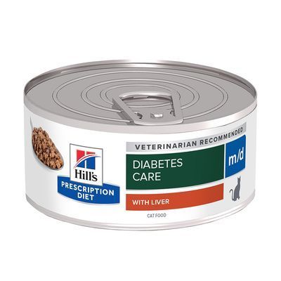 mon chat est diabétique, pose de capteur freestyle, mon chat a le diabete, clinique vétérinaire féline, vétérinaire pour chats, vétérinaire spécialiste du chat, médecine féline, clinique féline Lyon, vétérinaire chats Lyon, soins pour chats, clinique Cat Friendly Lyon, hôpital pour chats, bien-être félin, spécialiste chat Rhône, Entrechats Lyon, consultation vétérinaire chat, vétérinaire chat Lyon, mon chat et moi Lyon, mon chat et moi Rhône, vaccination chat Lyon, médecine féline, soins chat, vétérinaire félin Rhône, check-up chat, prévention santé chat, vétérinaire comportement chat, chat stressé vétérinaire, chat agressif vétérinaire, comportement félin, clinique Cat Friendly Lyon, bien-être félin, soins doux chat, apaiser chat, hospitalisation chat, chirurgie féline, anesthésie chat, soins post-opératoires chat, hôpital vétérinaire Rhône, clinique féline Lyon, surveillance vétérinaire chat, chirurgie douce chat, nutrition féline, alimentation chat, prévention maladies chat, conseils vétérinaires chat, suivi de poids chat, santé féline Lyon, vétérinaire nutrition chat,clinique Cat Friendly Lyon, équipe vétérinaire chats, vétérinaire félin Lyon, médecine du chat, bien-être félin, soins respectueux, spécialiste chat Lyon, conseils vétérinaires chat, blog chat, santé du chat, comportement félin, soins chat Lyon, prévention chat,