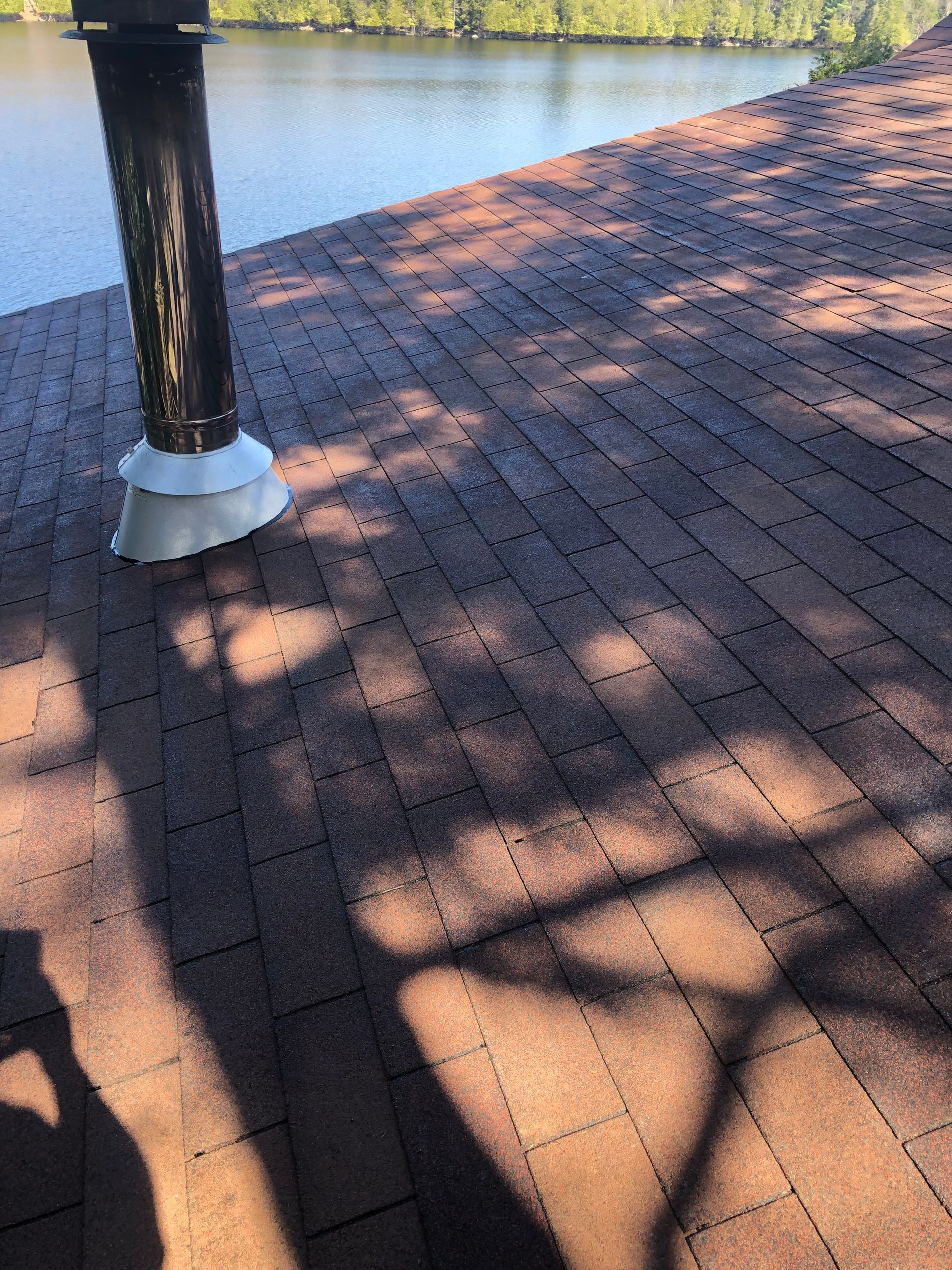 L'ombre d'un arbre est projetée sur un sol en briques à côté d'un plan d'eau.