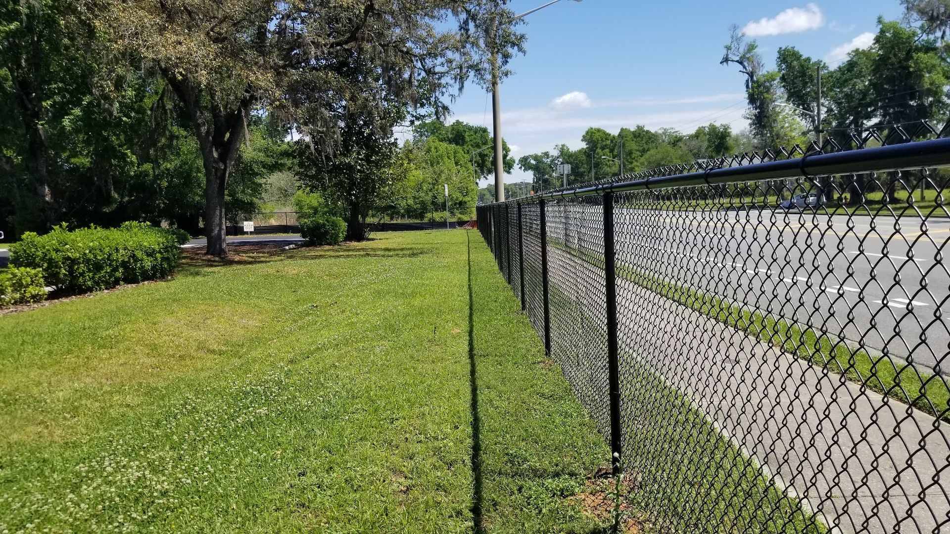 Sunny roadside with grass, trees, and a chain-link fence along a paved path
