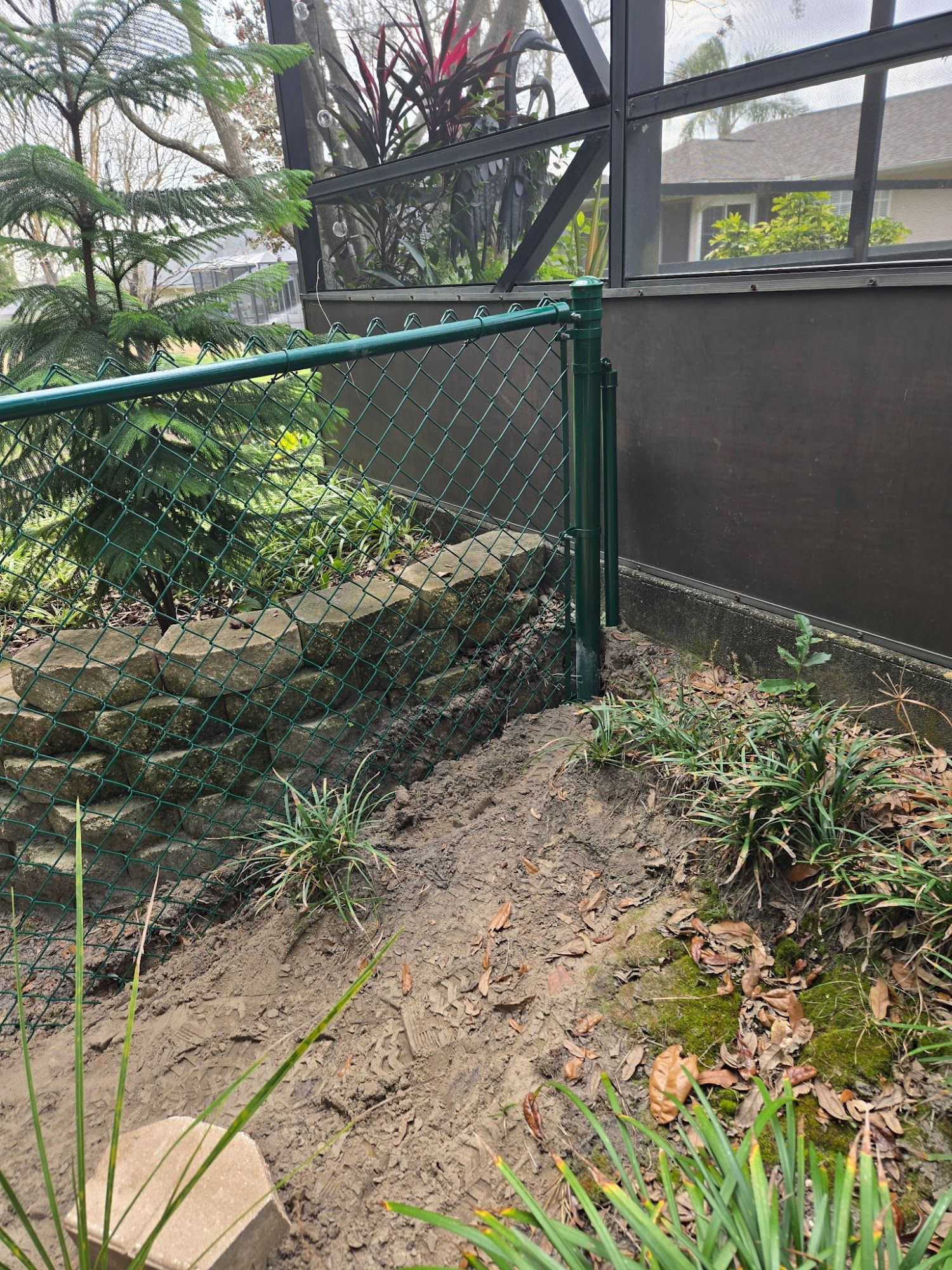Backyard garden with a chain-link fence, soil slope, and green plants near a patio.