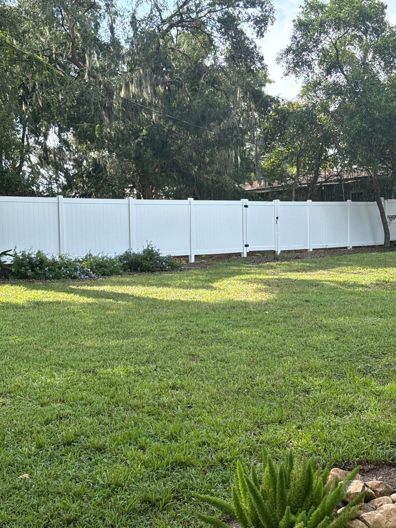 Grassy backyard with a white fence, tall trees, and a small plant bed in the foreground