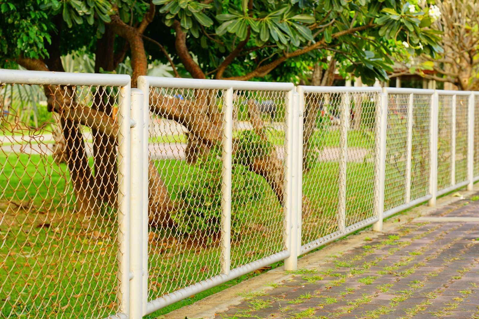 Black wrought-iron gate across a driveway with palm trees and a paved path behind it