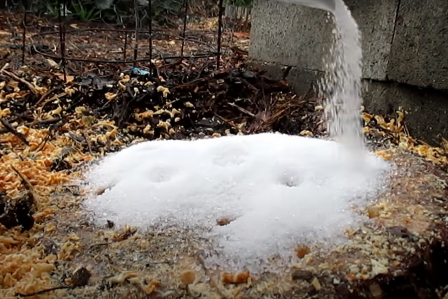 Can you remove a tree stump using Epsom Salt?