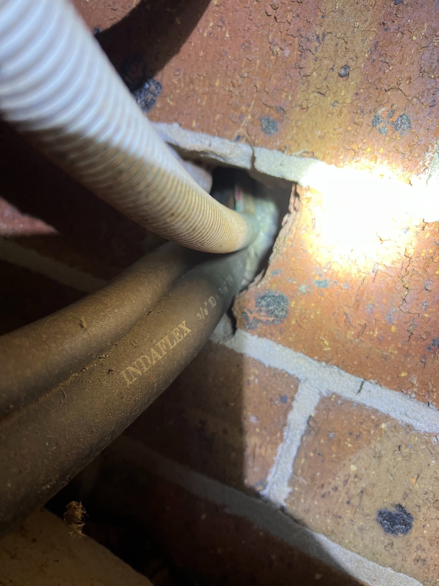 Close-up of Two Cables Entering a Wall Opening Beside a Brick Floor — NatureWise Pest Control In Port Macquarie, NSW