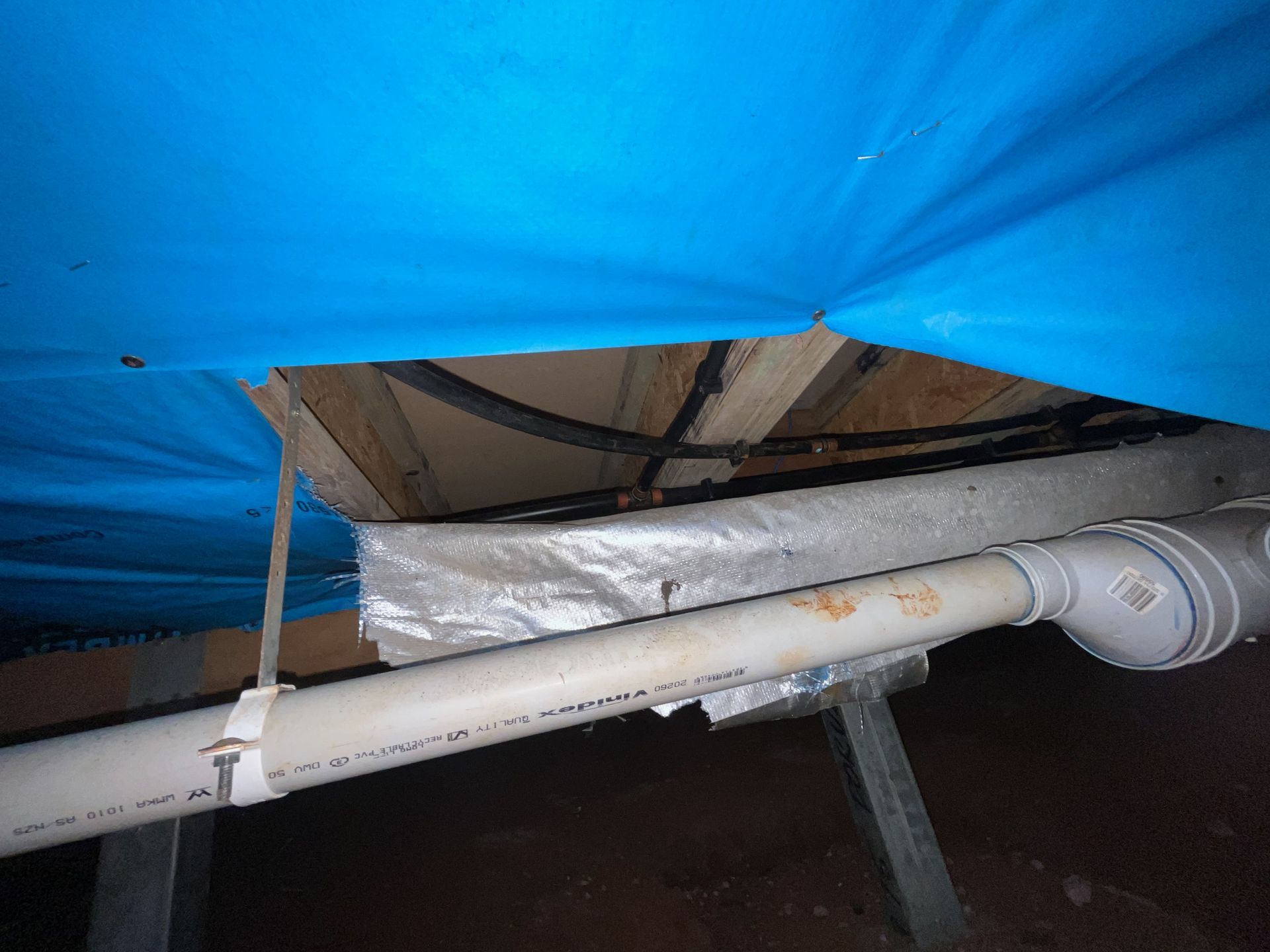 Rodent Entry Points Around Port Macquarie Homes: Why Small Gaps Matter pest control wood pallet against shed