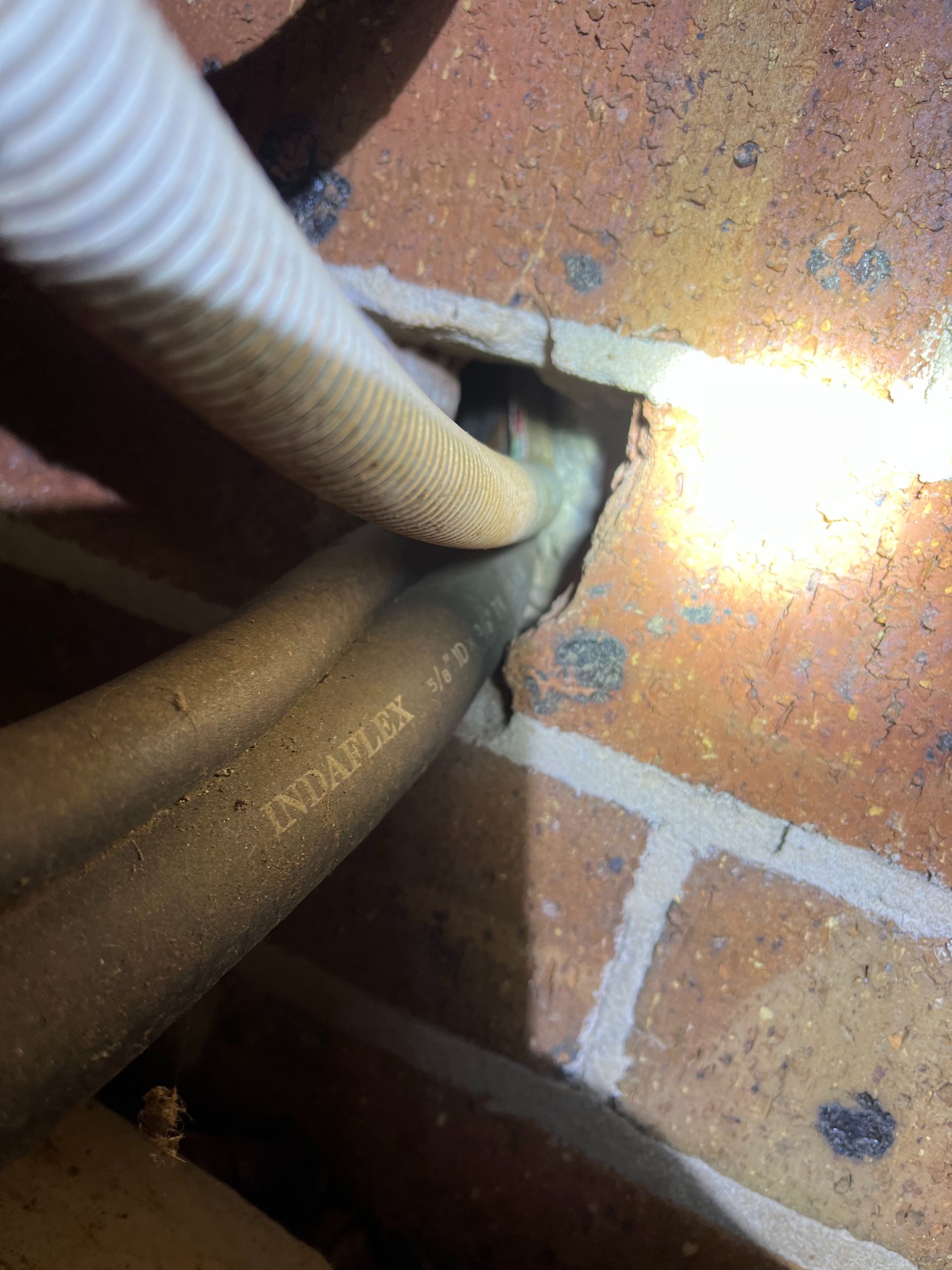 Rodent Entry Points Around Port Macquarie Homes: Why Small Gaps Matter pest control entry point along air conditioning cables through brickwork