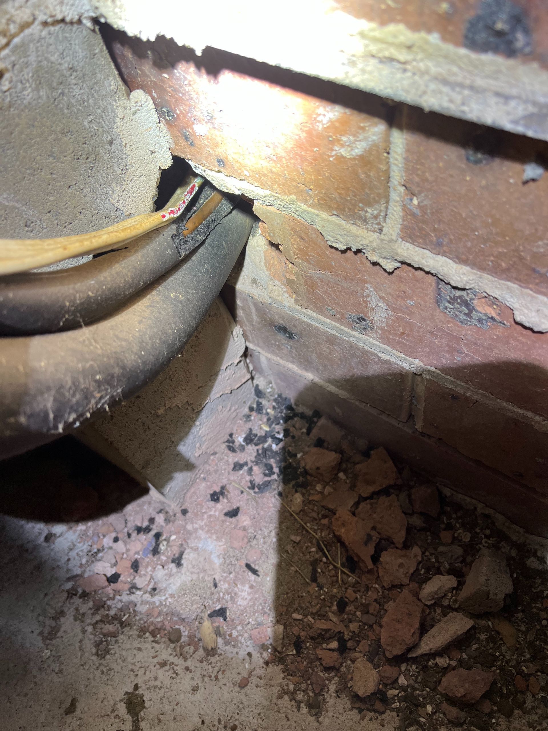 Rodent Entry Points Around Port Macquarie Homes: Why Small Gaps Matter pest control damage done by rats to electrical cables