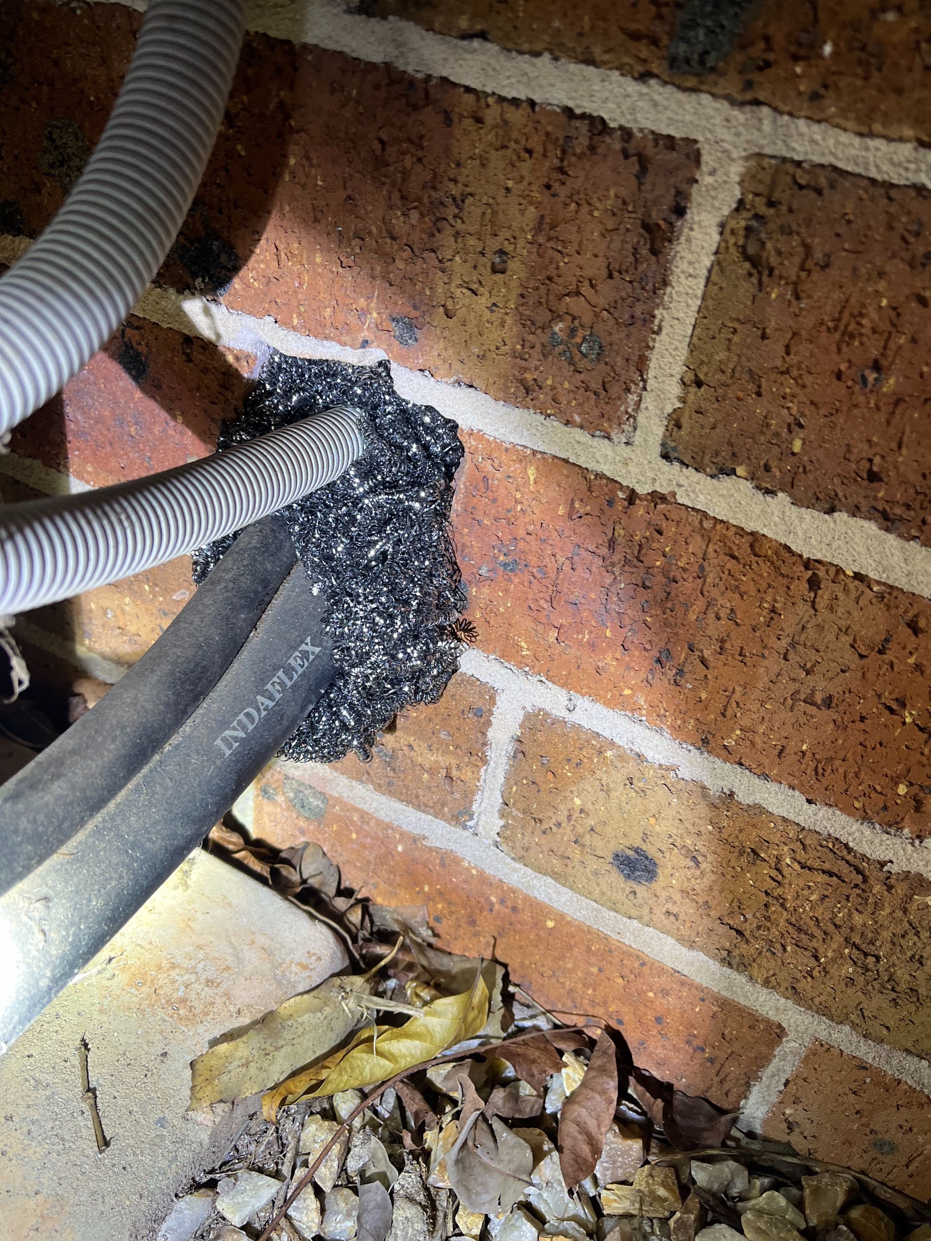 Rodent Entry Points Around Port Macquarie Homes: Why Small Gaps Matter pest control sealed proofed entry point with stainless steel wool