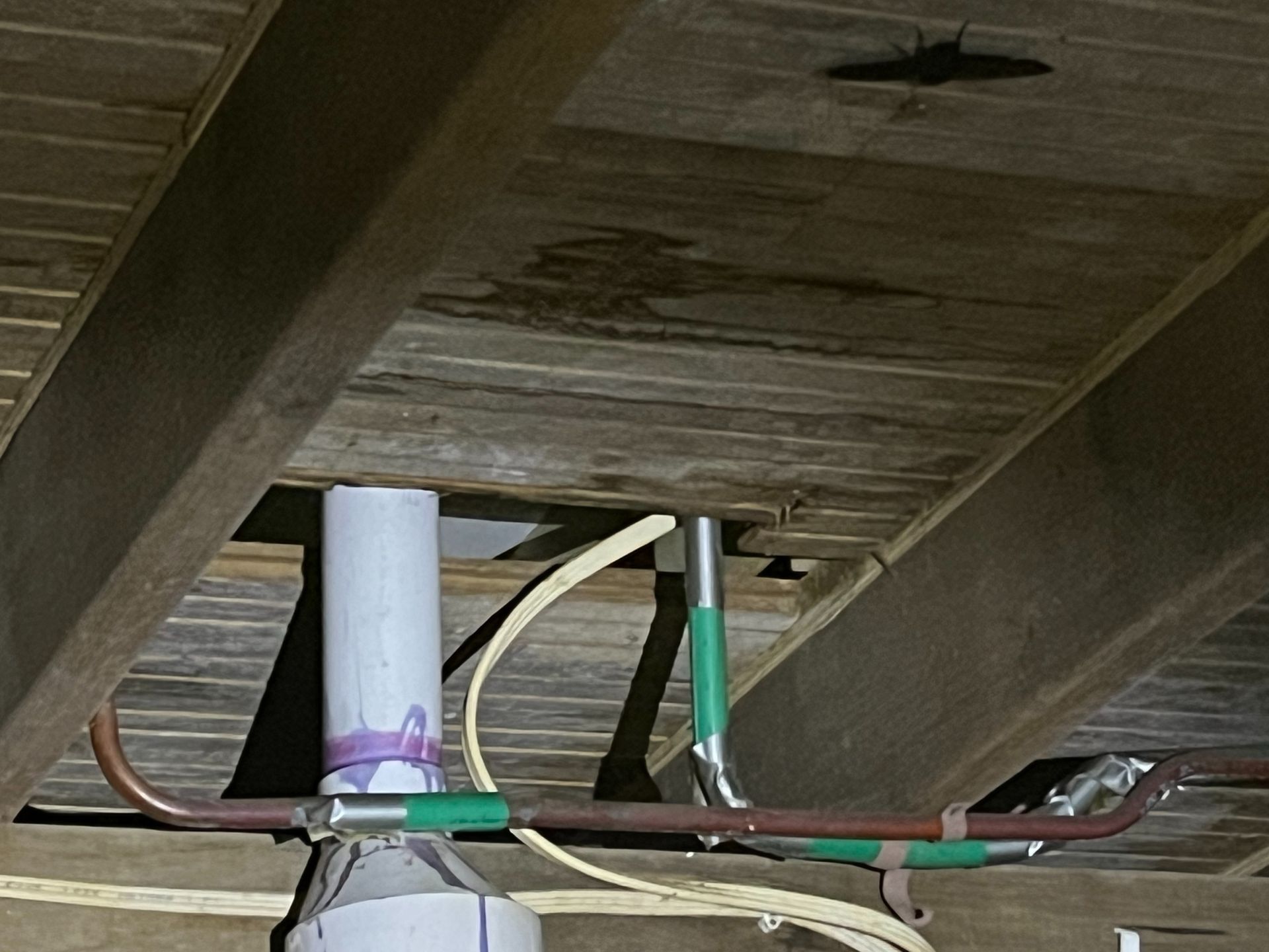 Rodent Entry Points Around Port Macquarie Homes: Why Small Gaps Matter pest control opening around PVC pip under house