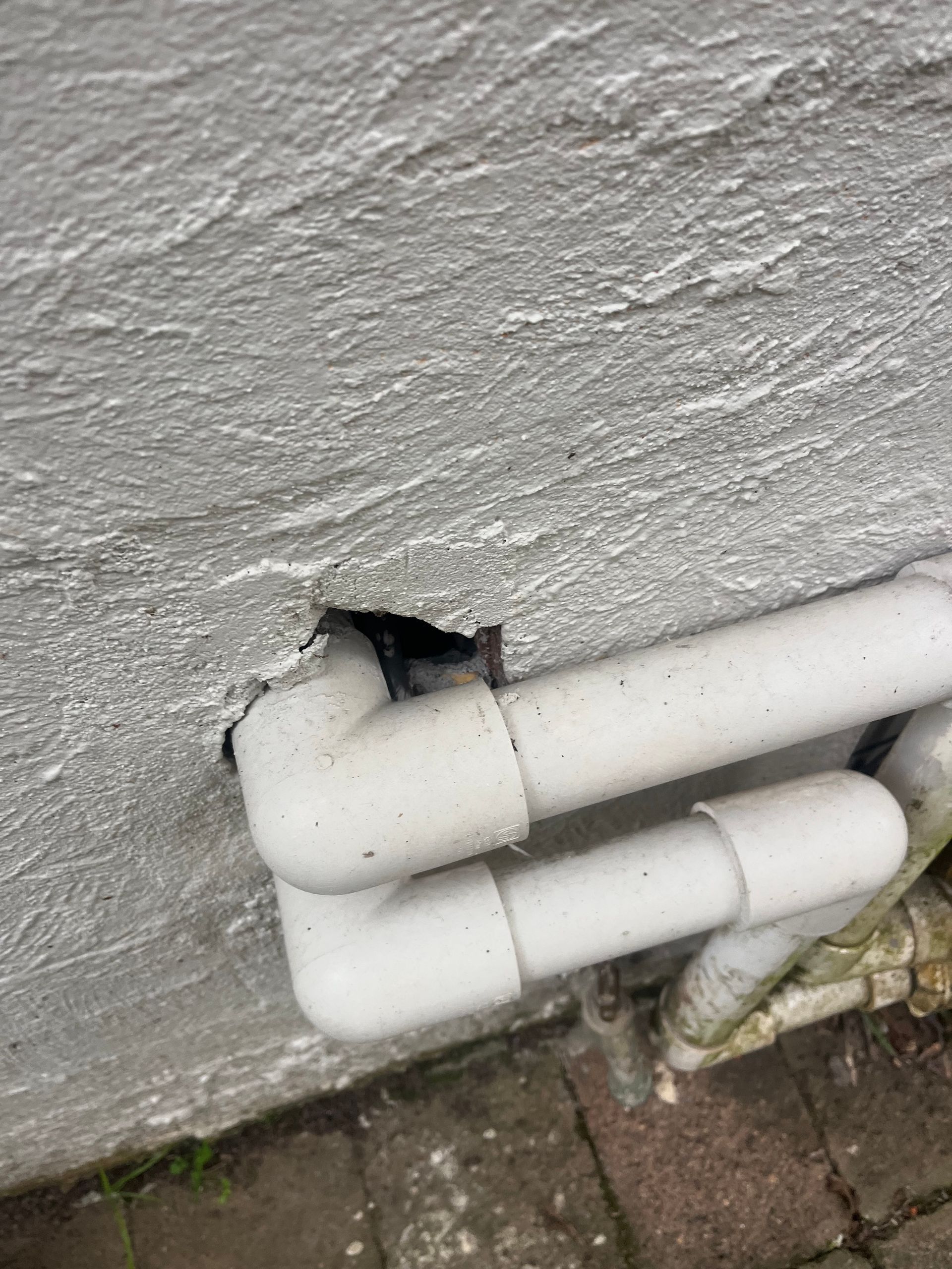 large exterior rodent entry point into brickwork white bricks and pipe rodent inspection in Port Macquarie.