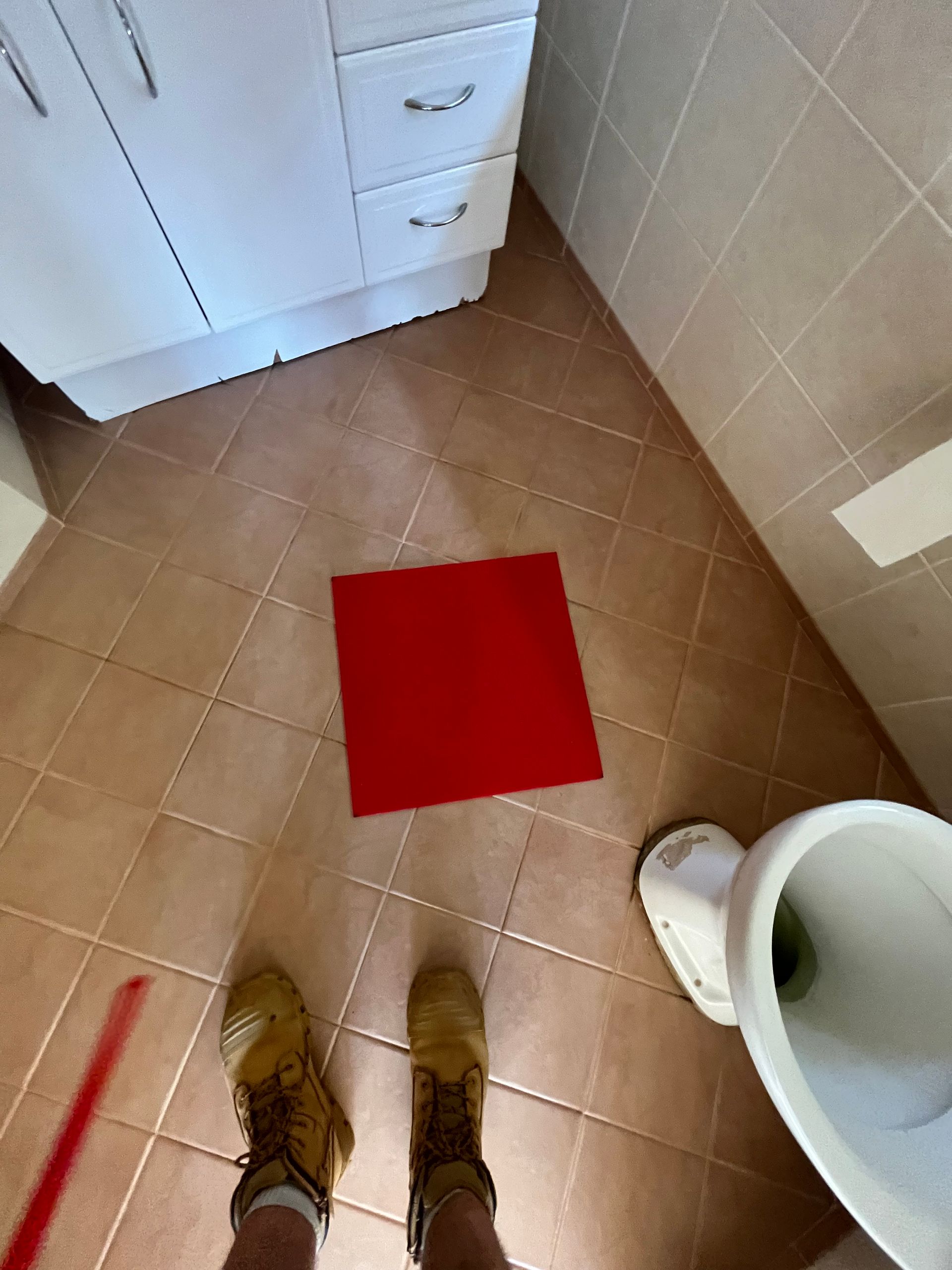 covered drin red cover in bathroom photo rodent inspection in Port Macquarie.