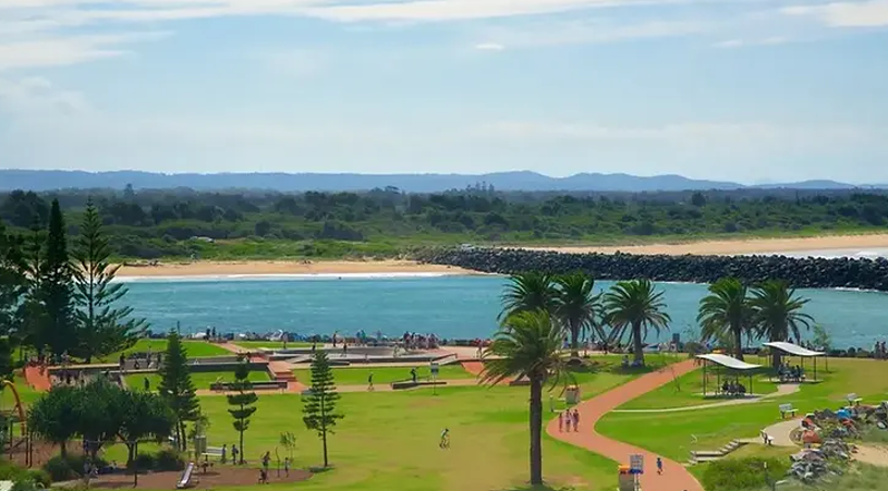 Park With Green Grass, Palm Trees — NatureWise Pest Control In Port Macquarie, NSW
