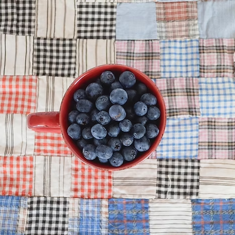 Red Mug Filled With Blueberries — NatureWise Pest Control In Port Macquarie, NSW