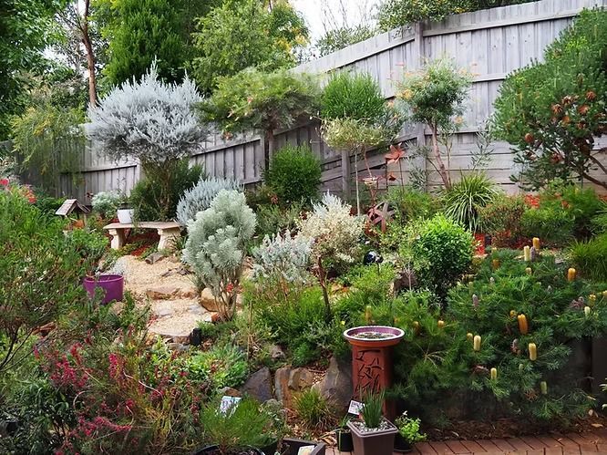 Australian Native Gardens - Cottage Garden — NatureWise Pest Control In Port Macquarie, NSW