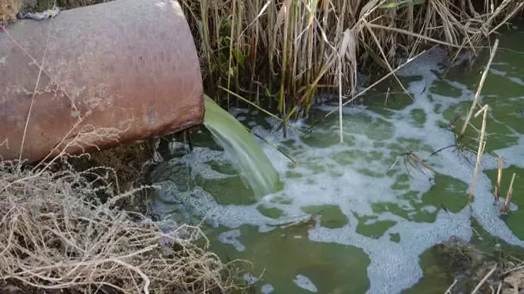 Pipe Discharging Green Liquid Into a Waterway — NatureWise Pest Control In Port Macquarie, NSW