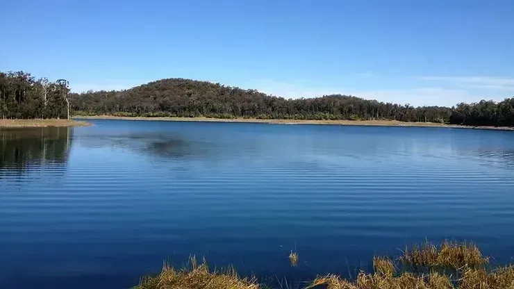 Blue Lake With Calm Water Reflecting the Sky — NatureWise Pest Control In Port Macquarie, NSW