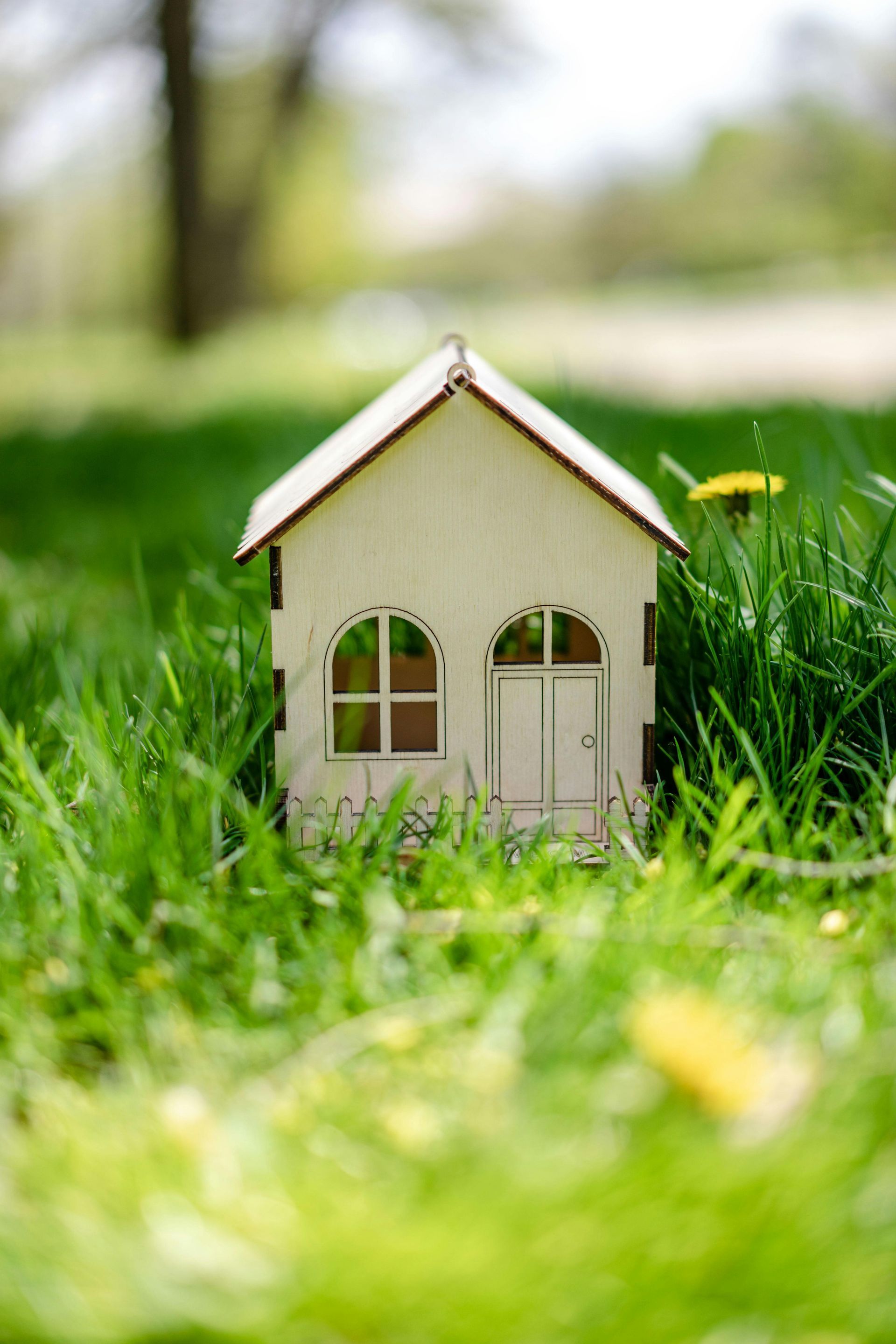 house one-off treatment ongoing plan naturewise Pest Control port macquarie