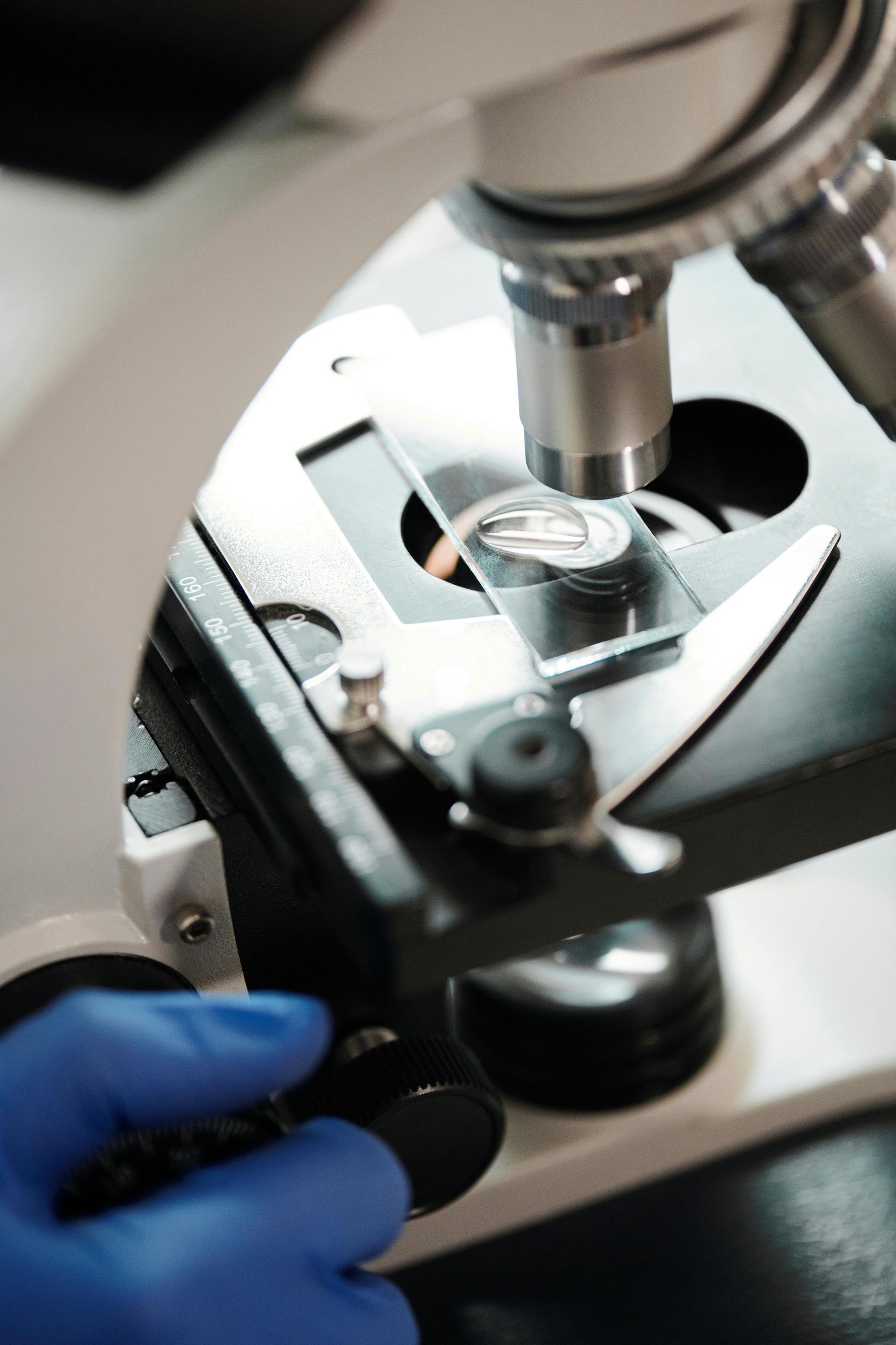Microscope Objective Lens Focused on a Glass Slide — NatureWise Pest Control In Port Macquarie, NSW