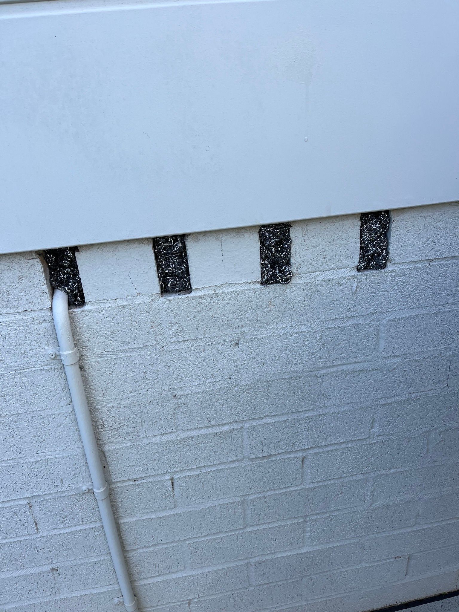 Textured Wall With a White Cable and Black-taped Seam Along the Top Edge — NatureWise Pest Control In Port Macquarie, NSW