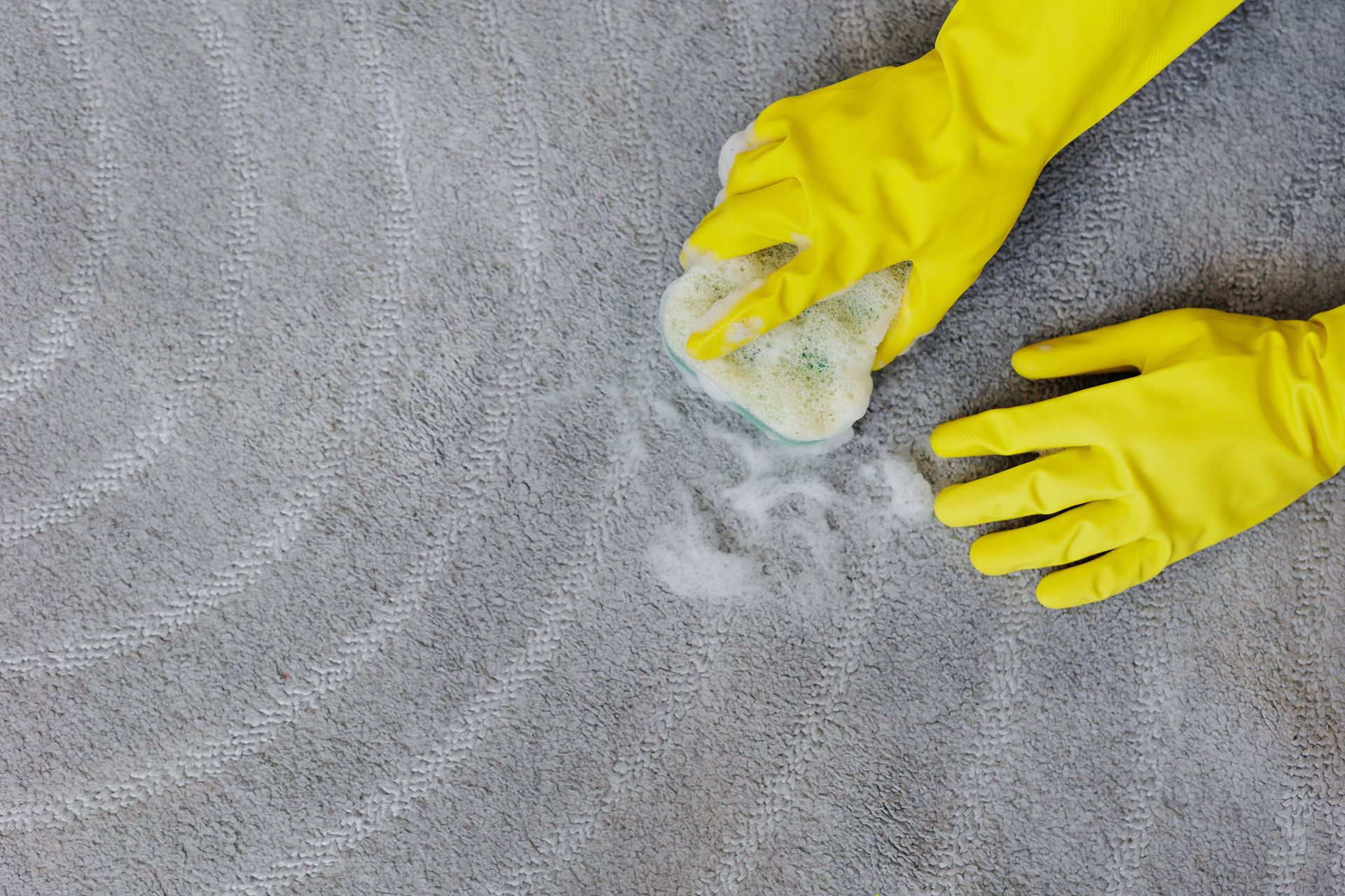 Cleaning the carpet due to pet stain