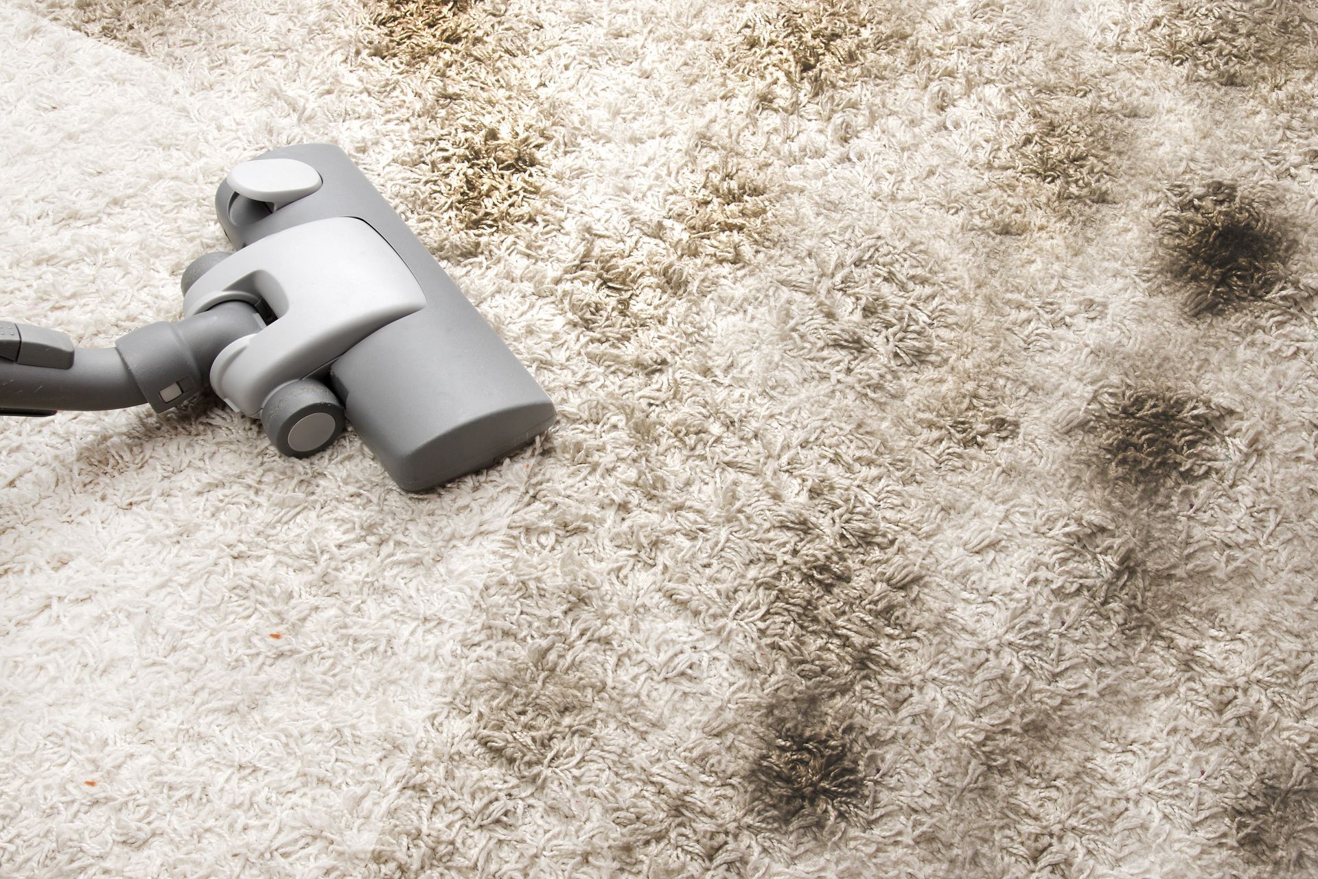 Vacuum cleaner head on a beige carpet with visible dirt spots