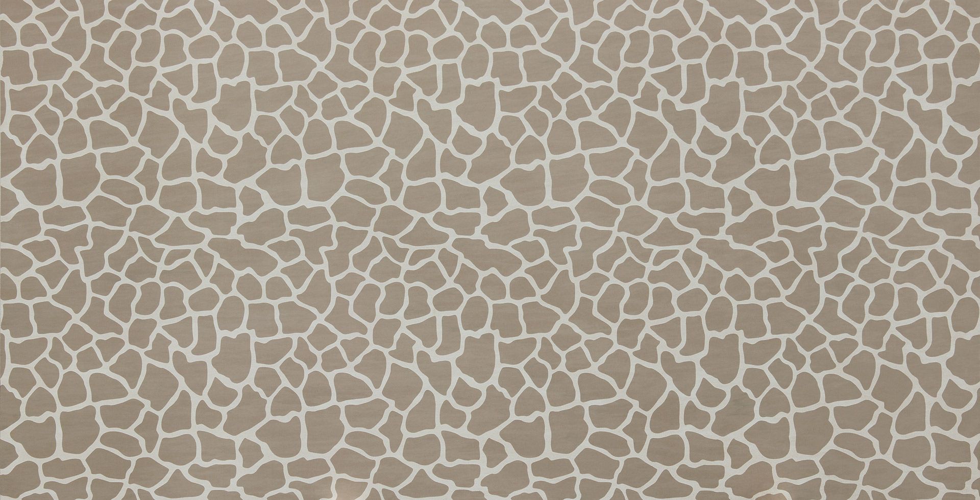 Africa Design Quartzite Brown