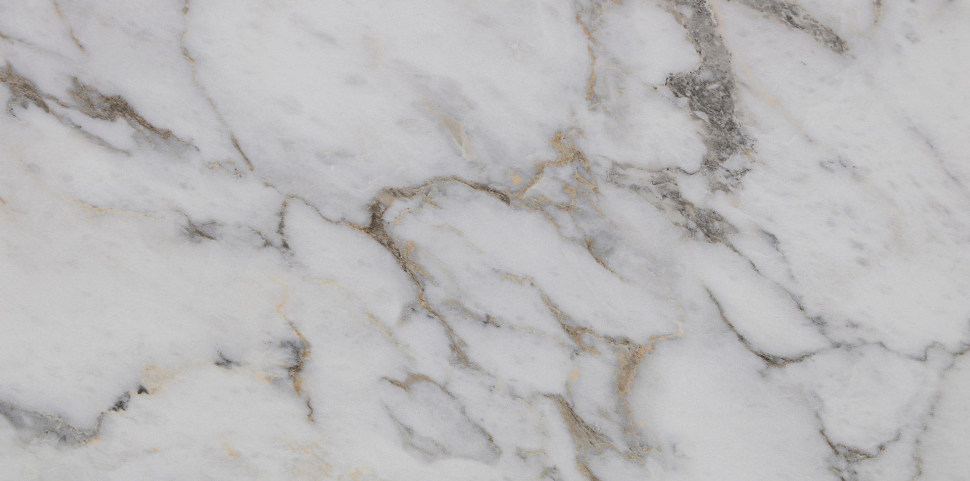 Arabescato Oro Tech CU