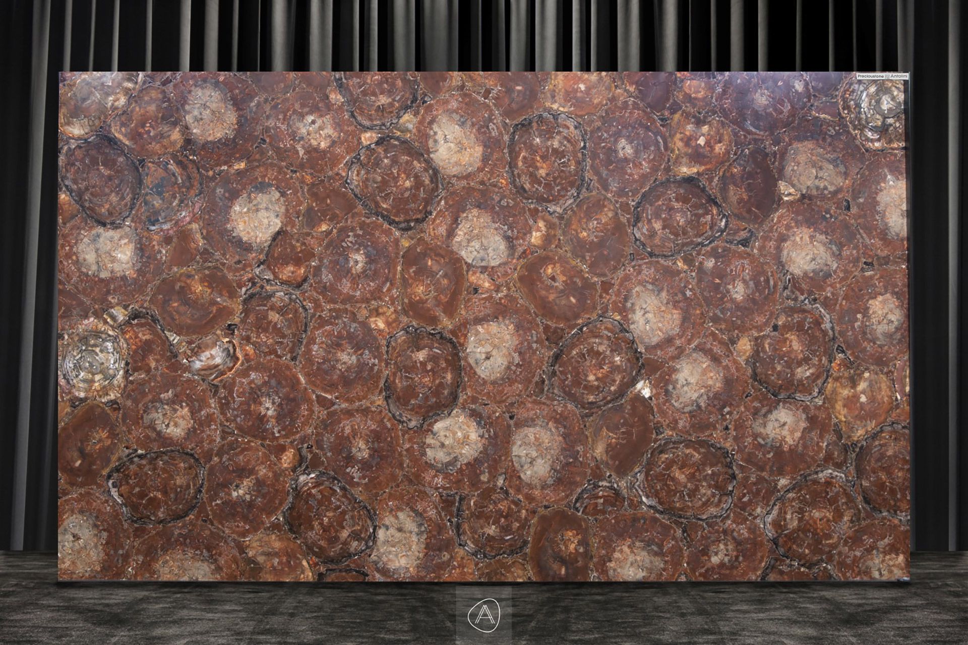 Brown Petrified Wood Jumbo