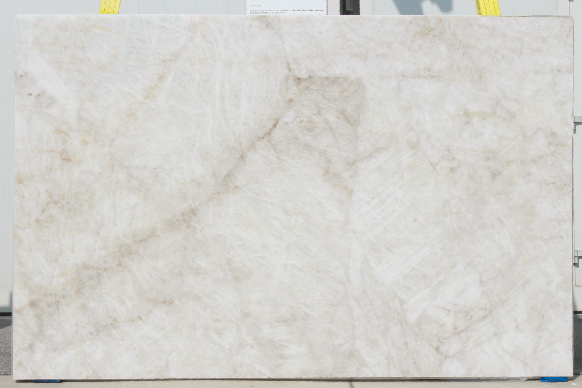 Bianco Wow
