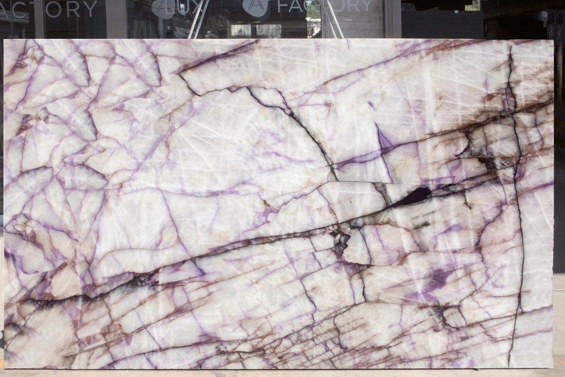 Trasviolet Treated