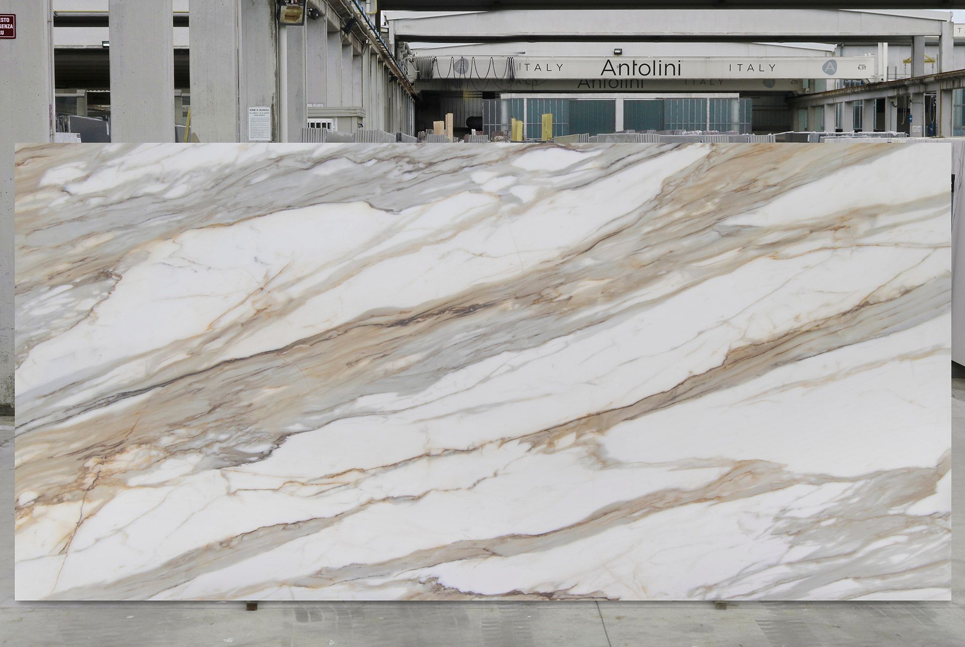 Calacatta Gold Tech