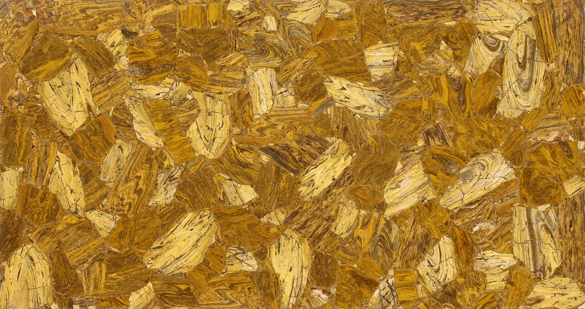 Camel Jasper